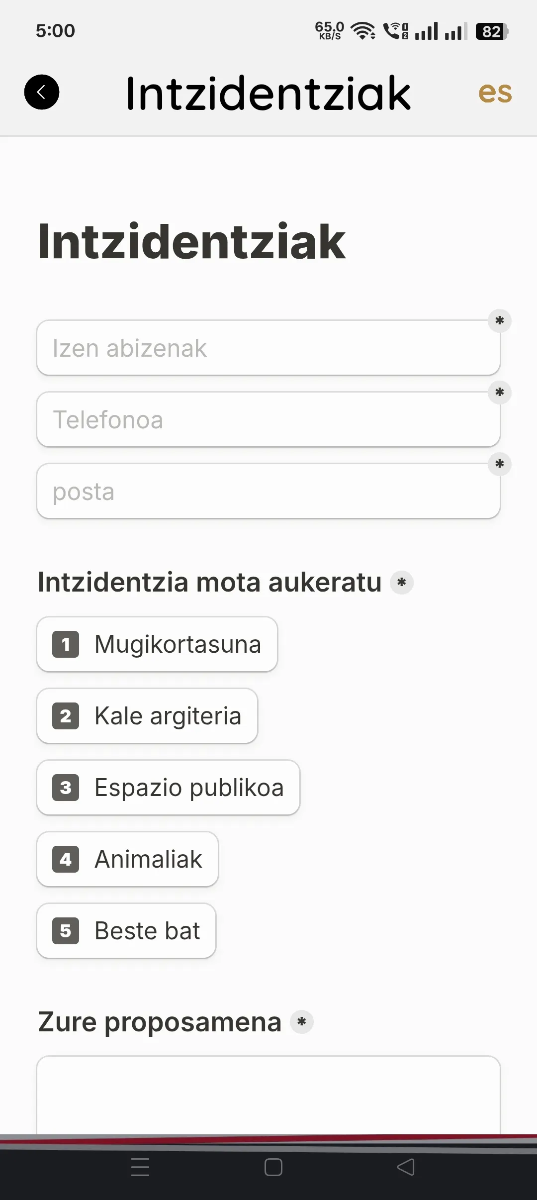 Beasain App - Case Study