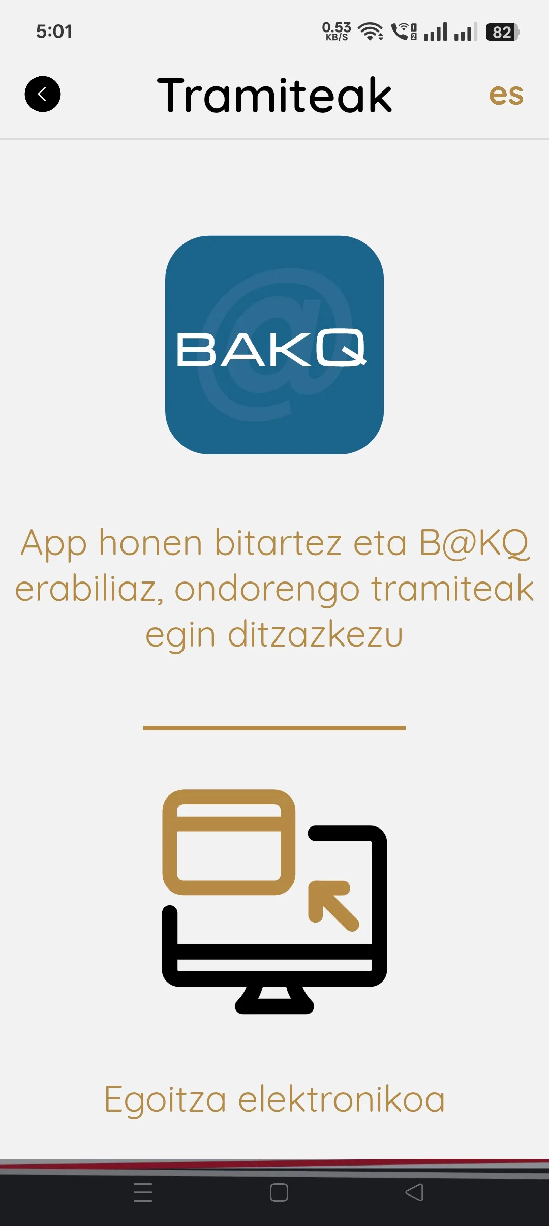 Beasain App - Case Study